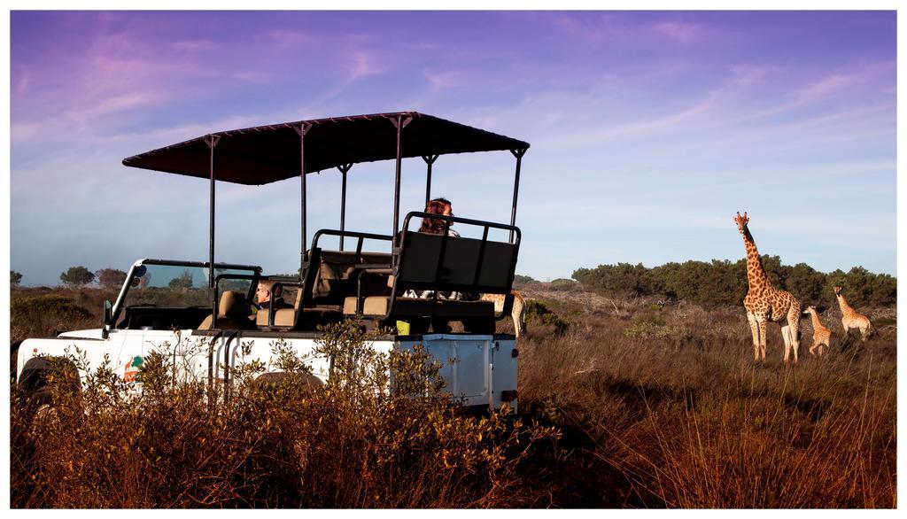 Thali Thali Game Lodge Langebaan Kültér fotó